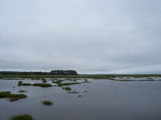 Wallops Island National Wildlife Refuge – ooh, pretty