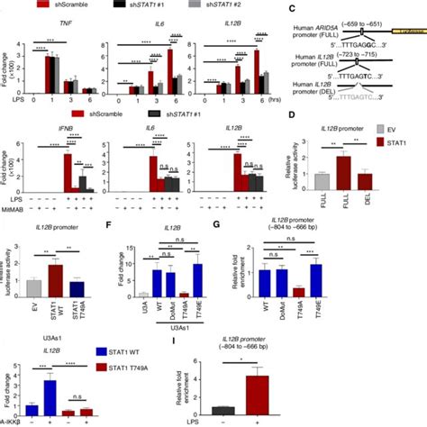 Lps Induced Tlr Endocytosis Promotes Arid A Il And Il P