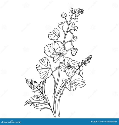 Larkspur Drawing Easy July Birth Flower Tattoo Simple Larkspur Drawing