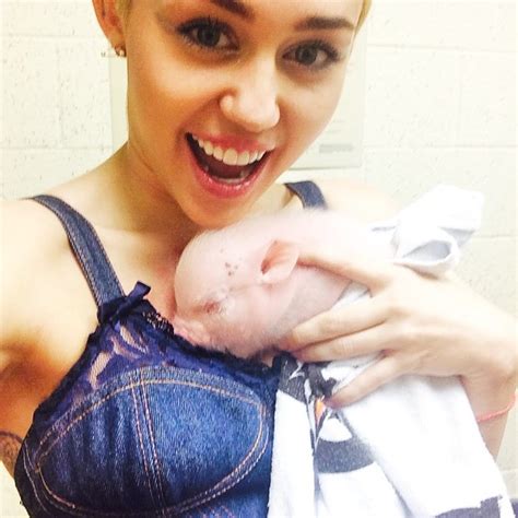 EGO Oi Miley Cyrus dá selinho em porco notícias de Bichos