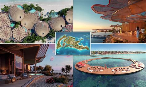 Coral Bloom Luxury Regenerative Tourism In Saudi Arabia Blog