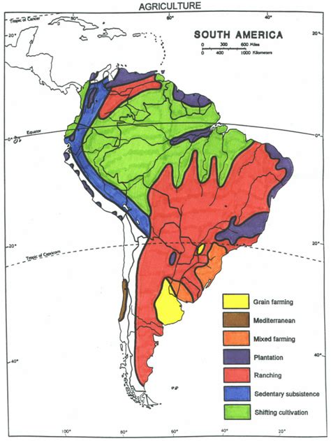 South America Vegetation Map | Cities And Towns Map