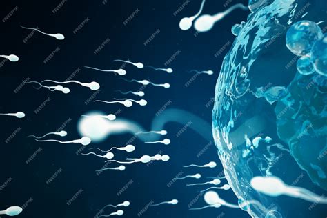 Premium Photo Sperm And Egg Cell Ovum Native And Natural