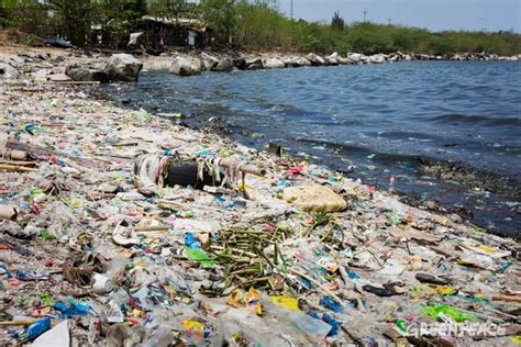 Pencemaran Laut akibat Sampah Plastik atau Sea Pollution due to Plastic ...