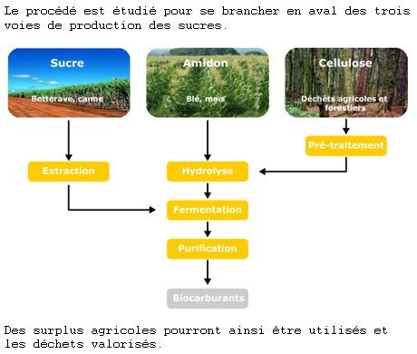 Global Bioenergies réussit à assembler un prototype bactérien de