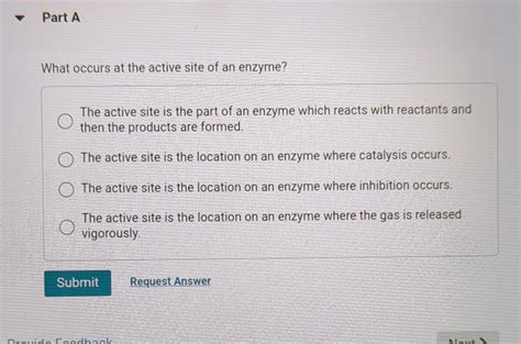 Solved What occurs at the active site of an enzyme? The | Chegg.com