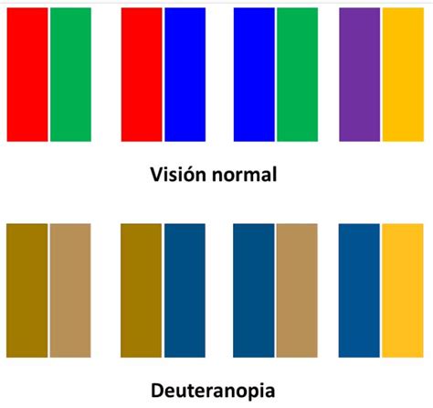 Daltonismo La Soluci N Est En El Morado Y El Naranja Gen Tica