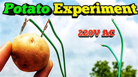 Potato 🥔 Experiment Vegetables 🥦🥕🌽 Experiment Dont Try Experiment आप