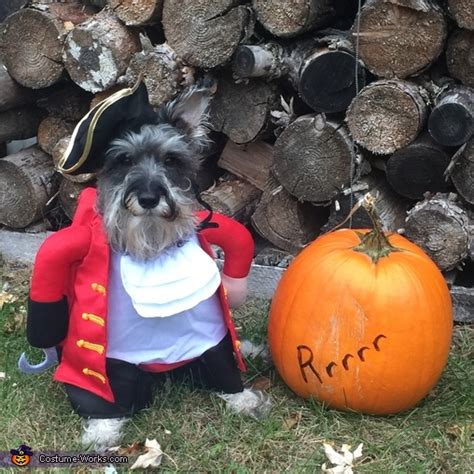 Scurvy Pirate Dog Costume