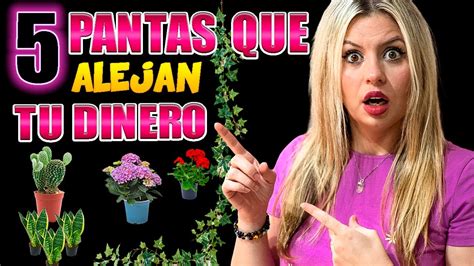 Cámbialo de Inmediato 5 Plantas En Tu Casa Hogar Que Te Alejan Del