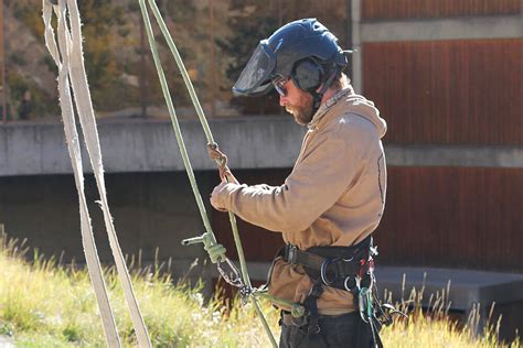 Tree Removal Services Utah Professional Tree Cutting Utah Tree Co