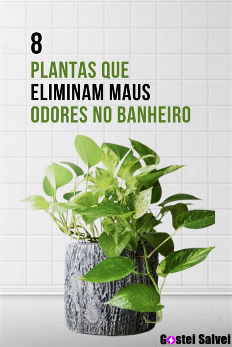 Plantas Que Eliminam Maus Odores No Banheiro Gosteisalvei