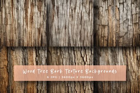 Tree Bark Textures Backgrounds Graphic By Srempire Creative Fabrica