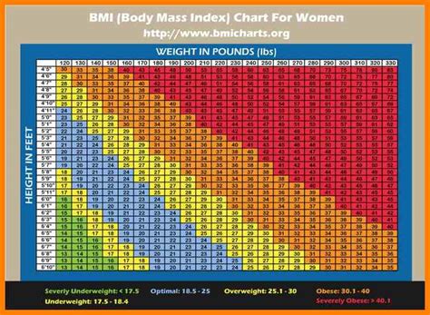 Download Bmi Chart For Women Printable Graphics