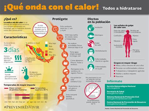 Recomendaciones De ProtecciÓn Civil Ante La Ola De Calor Brunoticias