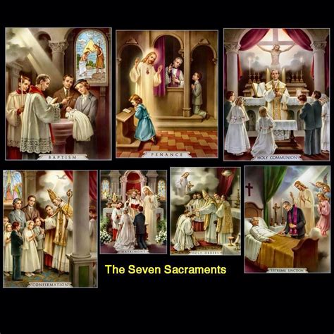 The Seven Sacraments Catholic Bible Verses Catholic Beliefs Catholic