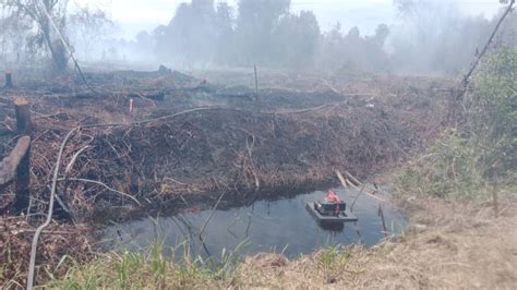 BBP Lawas Sambung Operasi Pemadaman Kebakaran Berulang Di Tanah Gambut