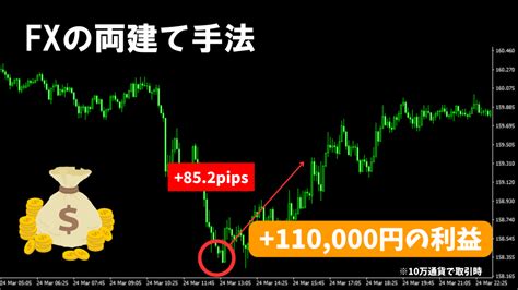 Yahooオークション 【fx両建ての極み】 Fxの両建てによるトレード手