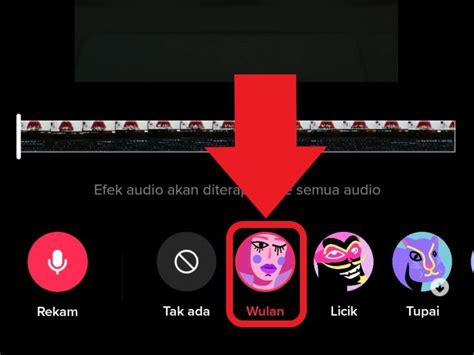 Cara Membuat Efek Suara Wulan Yang Lagi Viral Di TikTok