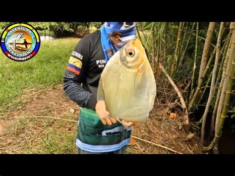 pesca de palometas en este caño YouTube