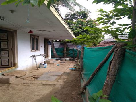 Bhk House Cent For Sale In Bhimadole Eluru Rei