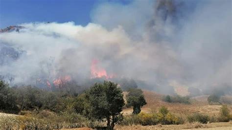 Incendio Forestal En Ocotepec Consume M S De Cien Hect Reas