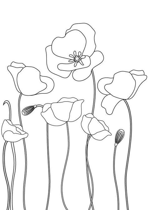 Pin By Luc A Comparte On Decoraci N Flower Line Drawings Flower