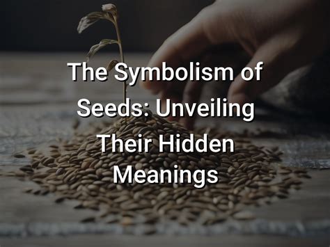 The Symbolism Of Seeds Unveiling Their Hidden Meanings Symbol Genie