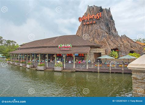 Rainforest Cafe At Disney Springs Editorial Photo Image Of Rainforest