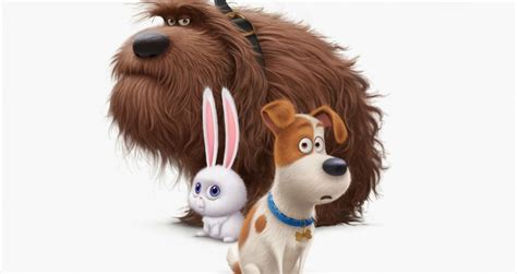 Veja O Novo Trailer Da Anima O Pets A Vida Secreta Dos Bichos