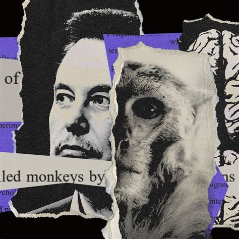 How Neuralink Keeps Dead Monkey Photos Secret - 'Wired' News Summary ...