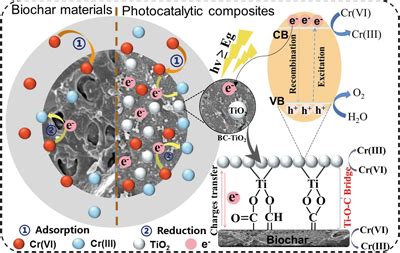 Effective Removal Of Hexavalent Chromium From Aqueous System By Biochar