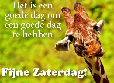 Pin Van Carolien Crols Op Zaterdag Goedemorgen Zaterdag Goedemorgen