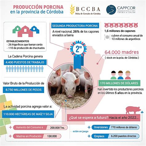 Argentina Superó Los Récords De Consumo De Carne De Cerdo Infobae