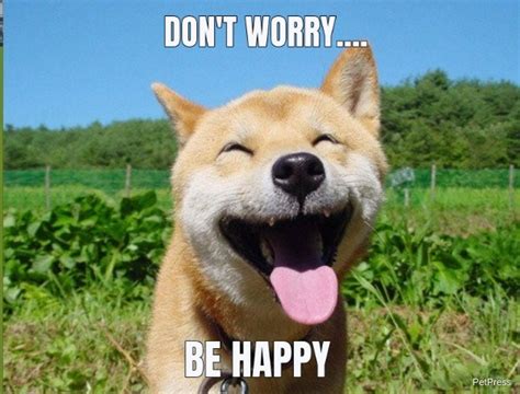 Dog Smiling Meme - Perfect and Happy Dog Memes