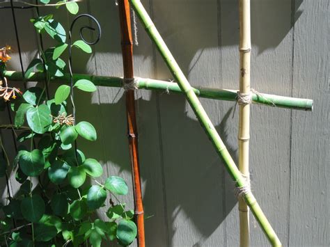 How To Build A Bamboo Trellis For Your Garden And Make Your Garden Beautiful Hubpages