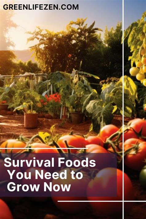 Self Sufficiency Made Easy Survival Foods You Need To Grow Now