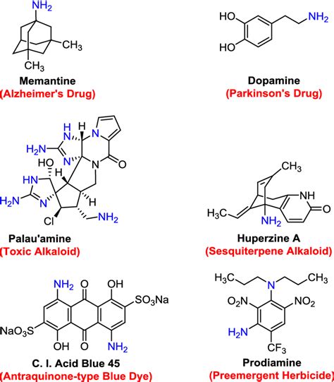 Examples of some useful chemical structure bearing amine functional ...