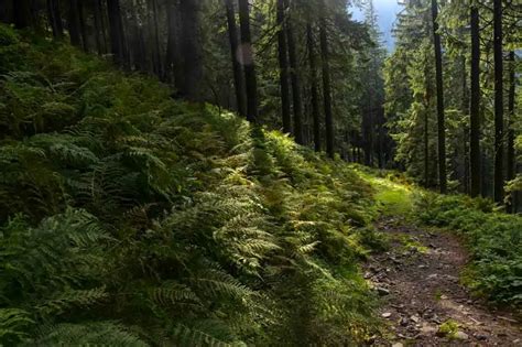 Urkov Turistick Trasy Cyklotrasy Chabenec N Zke Tatry