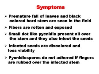 Jute & cotton diseases by zahid | PPT | Free Download