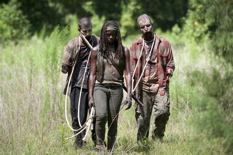 Michonne Hd Wallpaper From The Walking Dead Tv Show