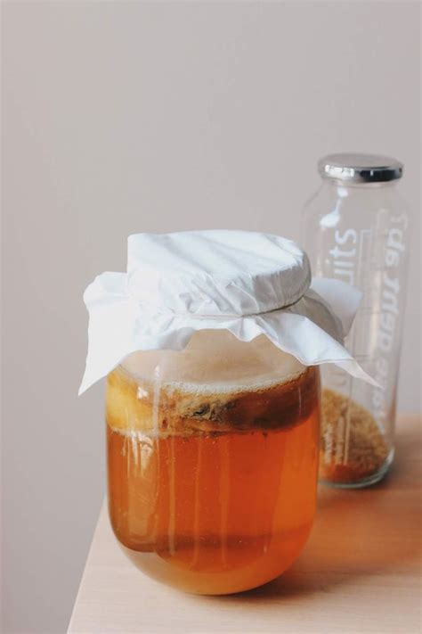 FAIRE SON KOMBUCHA MAISON TOUT SAVOIR Le Camille Zole Blog