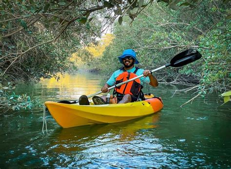 Mangrove Kayaking Tour Abu Dhabi | Book Kayaking Abu Dhabi