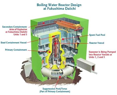 Nuclear chemistry: Lessons from the Fukushima Daiichi disaster - Science in the News