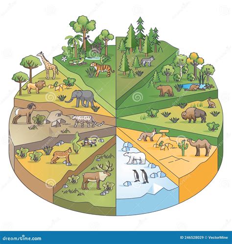 Types Of Habitats And Various Ecosystems Collection In Pie Outline