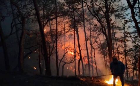 Incendios Forestales Permanecen Activos En Sinaloa