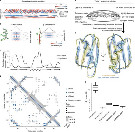 Secondary And Tertiary Structure Prediction From Dms Data A Local