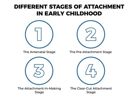 Understanding Attachment Theory Key Insights For Effective Coaching