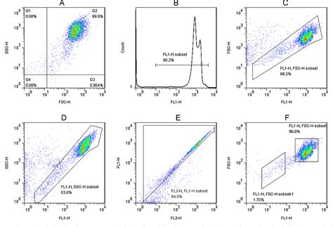 Figure From In Vitro Micronucleus Assay For The Analysis Of Total