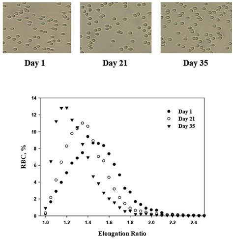 Frontiers Deformability Of Stored Red Blood Cells